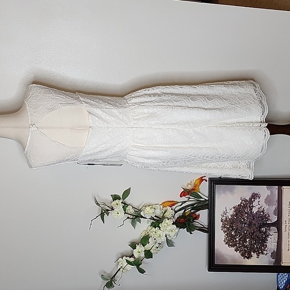 NEW Calvin Klein Ivory Lace Overlay Double Lining Dress Celeb Style Luxury Chic - Picture 9 of 16